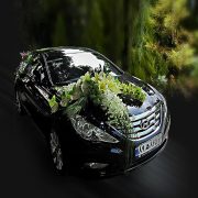 گل آرایی-ماشین-عروس